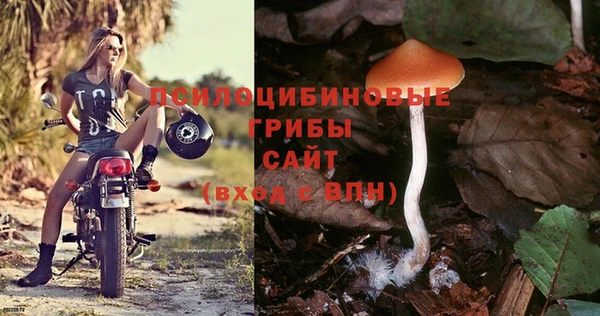 2c-b Алексин