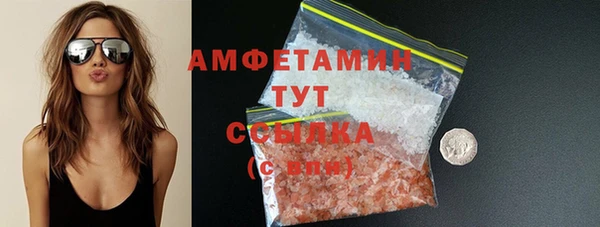 хмурый Алзамай