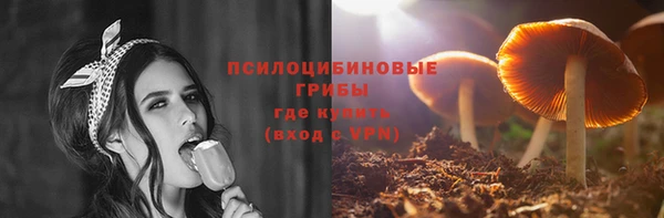 2c-b Алексин
