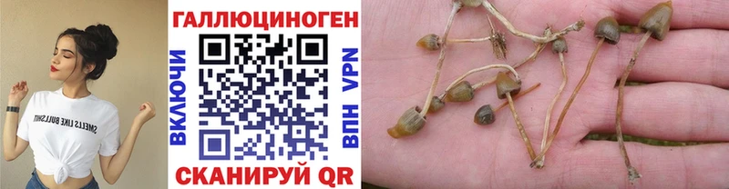 Псилоцибиновые грибы Magic Shrooms  закладка  Игра 